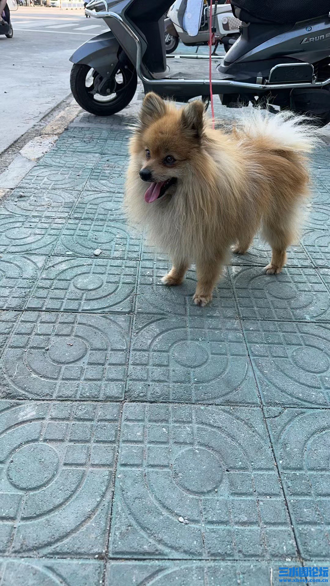 微信图片_20240523174945.jpg