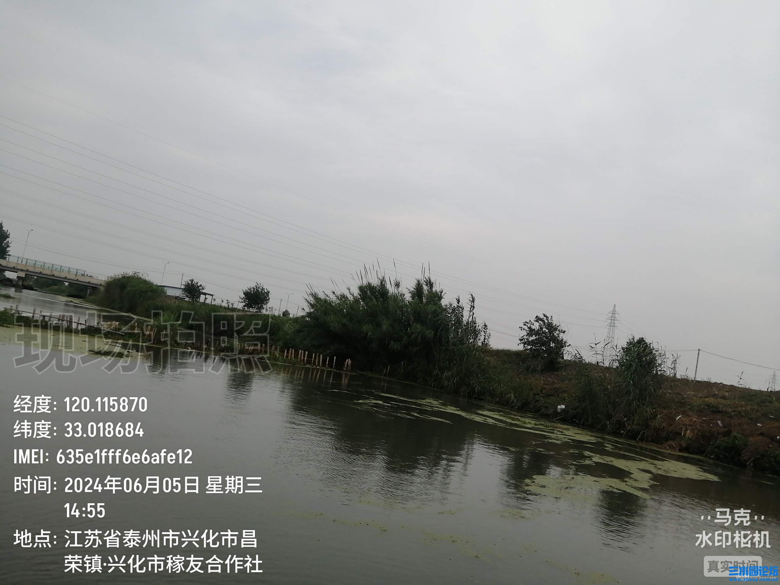 155019g3kf3353f0j4p8z6.jpg