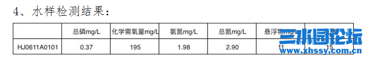新蕾小河---4.png