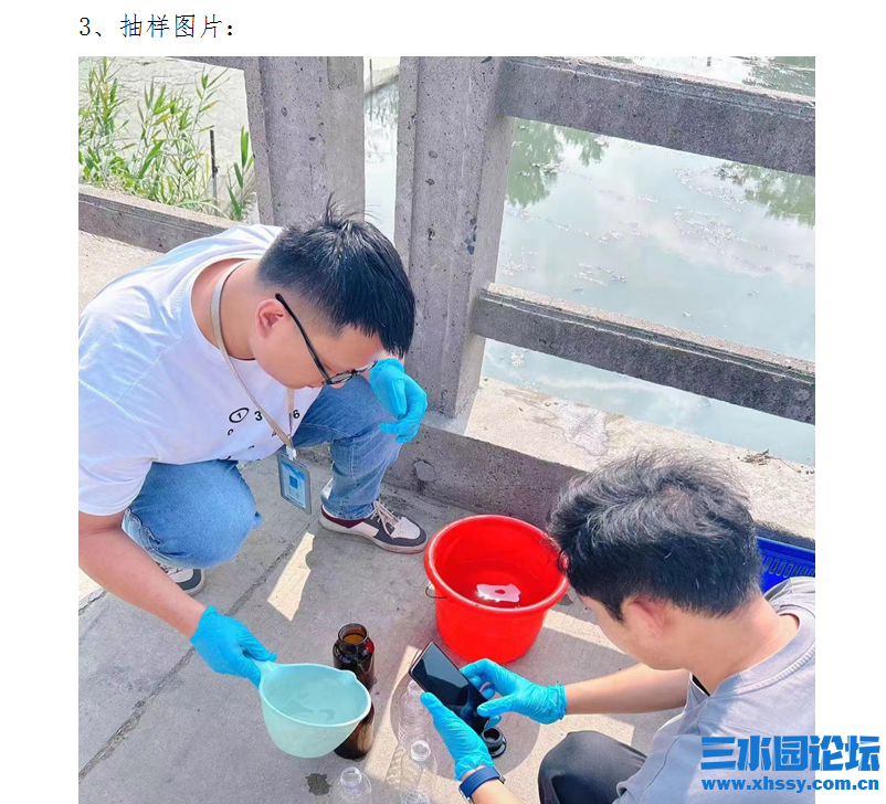 新蕾小河---3.png