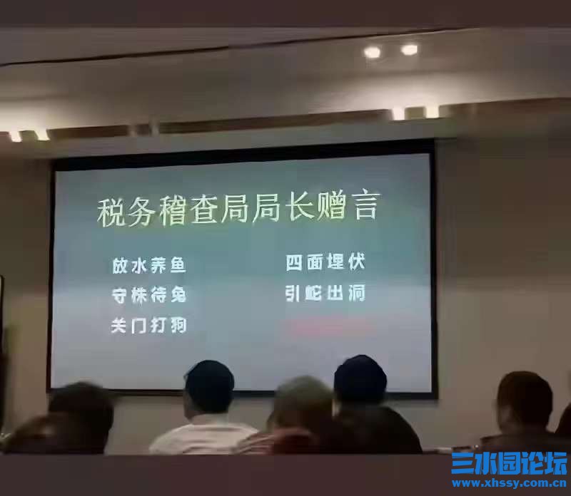 税务局长.jpg
