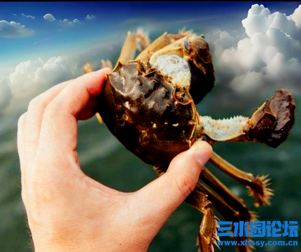 QQ浏览器截图20240918105957.png