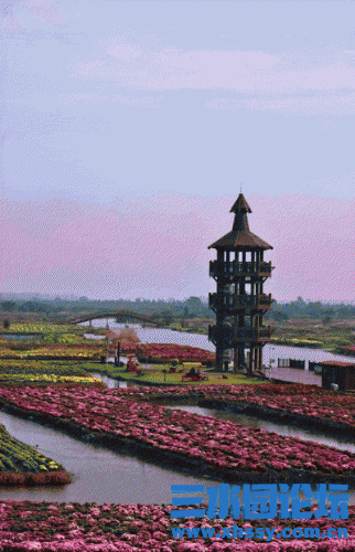IMG_0762.gif