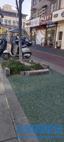 IMG_20250117_121707.jpg