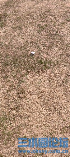 IMG_20250203_124459.jpg