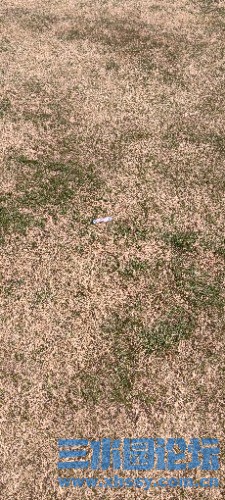 IMG_20250203_124508.jpg