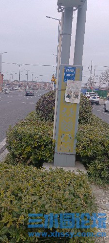 IMG_20250214_111658.jpg