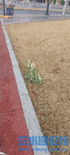 IMG_20250223_075030.jpg