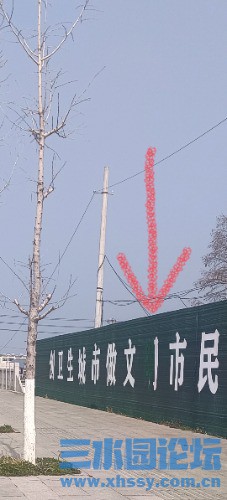 IMG_20250226_125150.jpg