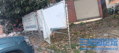 IMG_20250226_113304.jpg