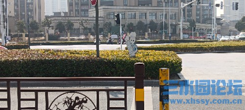 IMG_20250226_112641.jpg