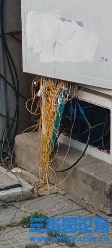 mmexportef700bf08d1364fe15fb1c2c9b03e351_1741333566271.jpeg