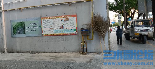 IMG_20250316_173015.jpg
