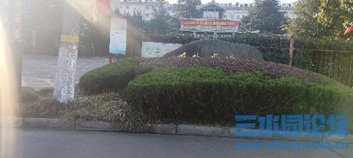IMG_20250317_075543.jpg