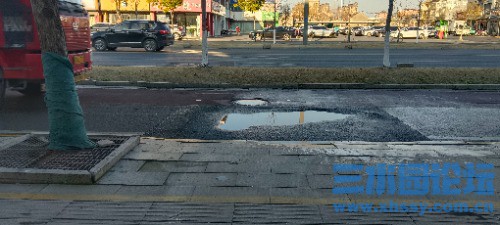 IMG_20250319_072439.jpg