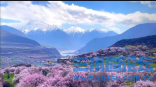 桃花山水.png