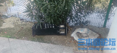 IMG_20250320_105257.jpg