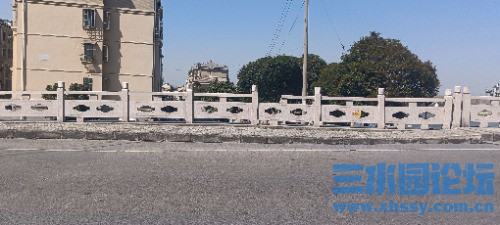 IMG_20250321_111526.jpg
