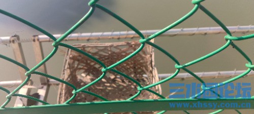 IMG_20250323_080427.jpg