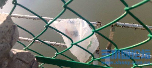 IMG_20250323_080418.jpg