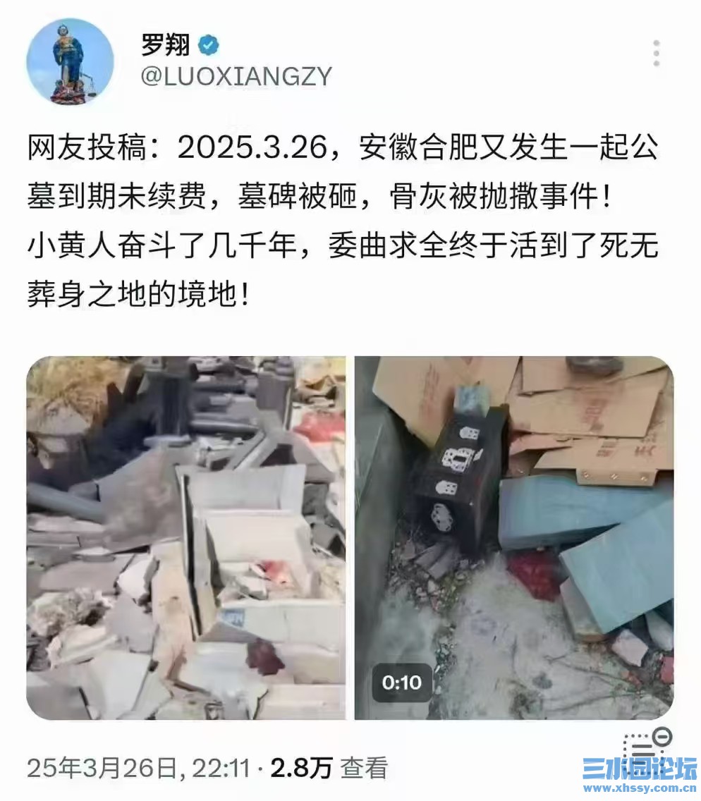 罗翔.jpg