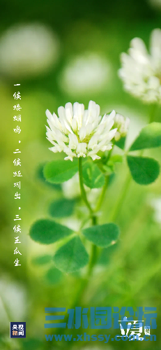IMG_3799.png