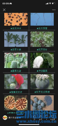 IMG_3999.png
