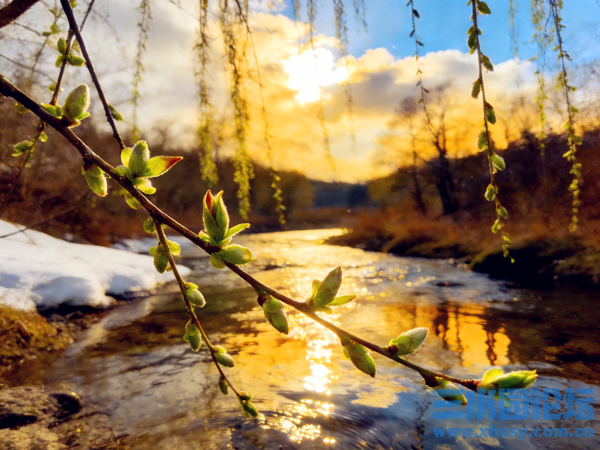 冬吃萝卜夏吃姜主题场景图 (2).png