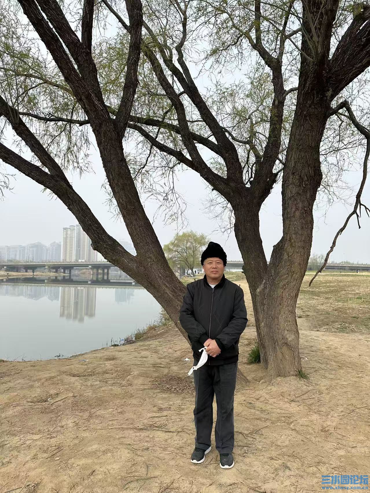 灞桥柳.jpg