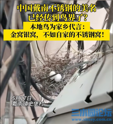 IMG_1876.png
