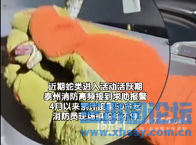 084906c2bqhbvqqsz52vn5.png