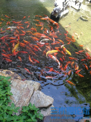 IMG_20260707_104054.jpg