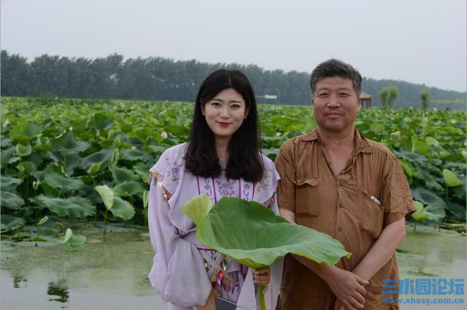 荷塘相伴.jpg